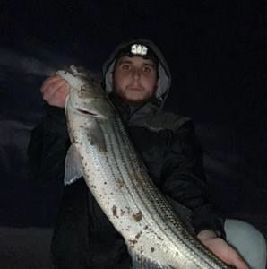 Meet your Posher, Danny